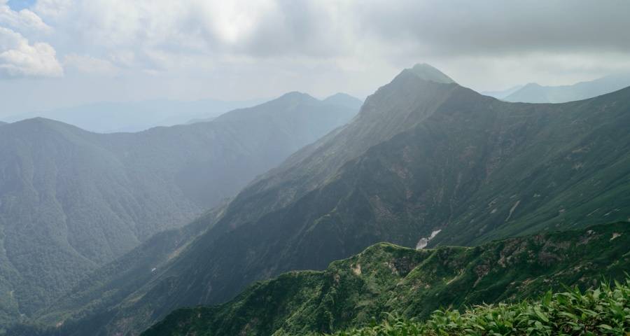 家电消费迎来春暖花开，华为美的格力TCL康佳海信全面开跑-家电圈官网