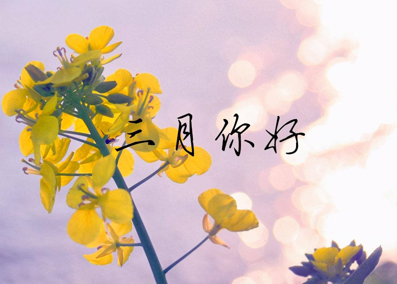 锦屏春暖作者欣欣向荣txt 锦屏春暖全文无删减版