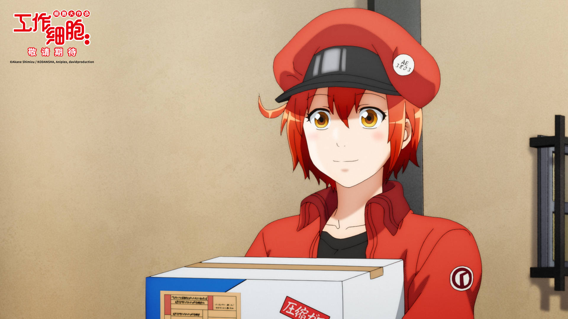 口碑佳作首登大银幕日本爆款动画工作细胞电影版确认引进