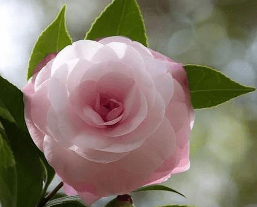b79f2b7e111a49678301f8863eac8502.png