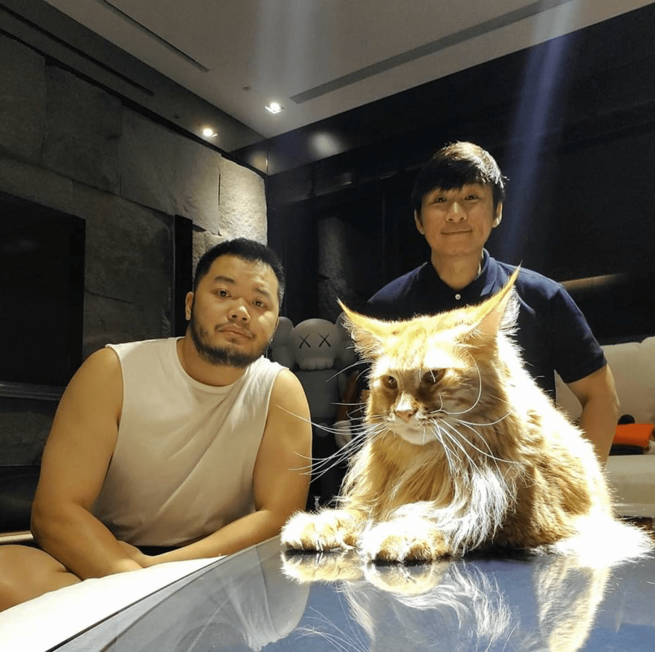 原创张惠妹52岁经纪人陈镇川做父亲结婚半年获麟儿与丈夫共同抚养