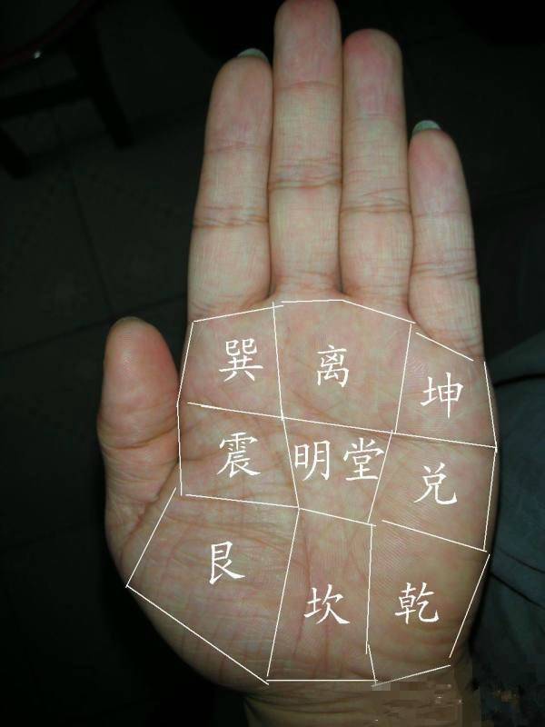 什么是三角纹的位置 f02f3f3790884860928c86b47fadef44.jpeg