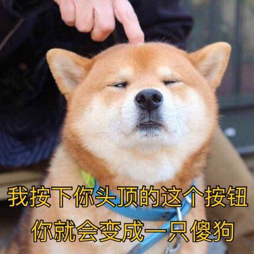 33a076642b5f4804afb6fdb15e274008.jpeg