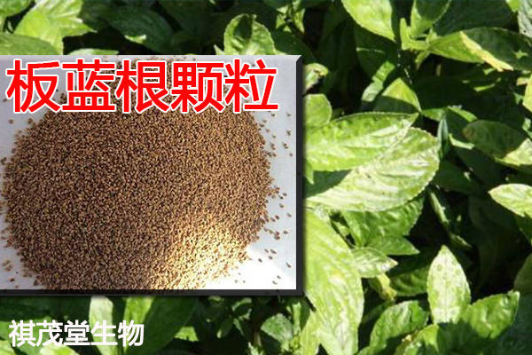 49e30bc154cc477c9cdcd8489e52a68f.jpeg