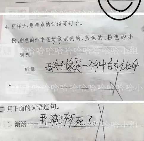 7db5df7c801f487fbe2292e5500f990a.png