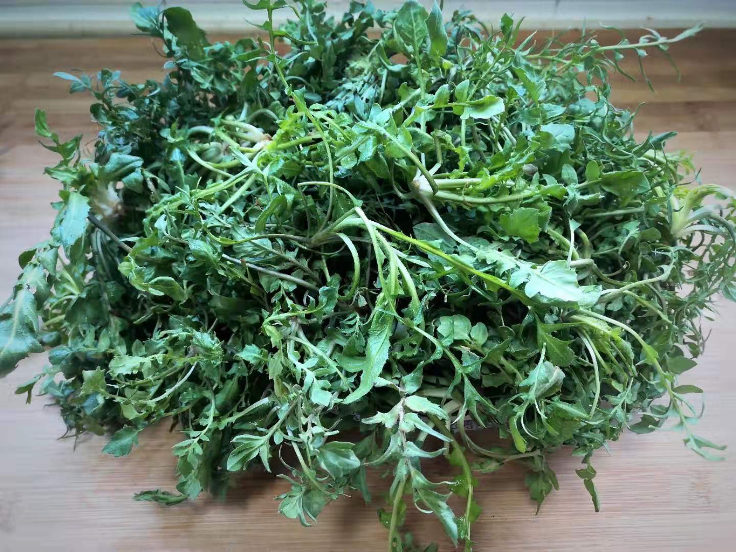 原创这野菜是3月第一鲜不花1分钱做馅包水饺祛湿明目还去火