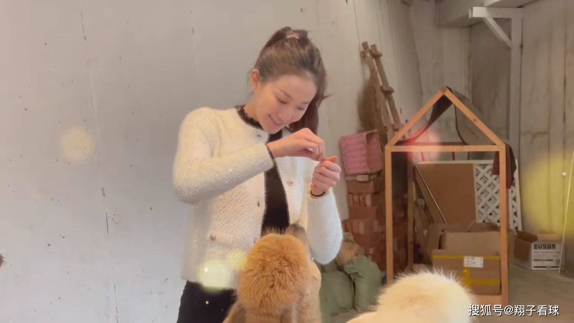 艺术体操女神喂羊驼时转圈圈,形象温柔恬静明艳动人_张豆豆