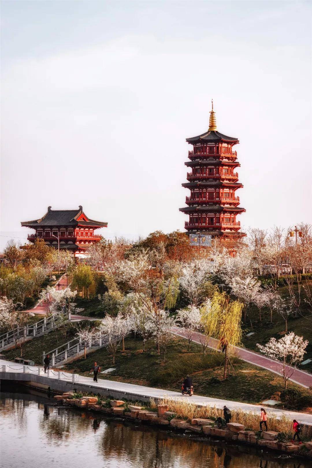 洛阳"火"遍全世界!外交部发言人向全球推介!_唐宫