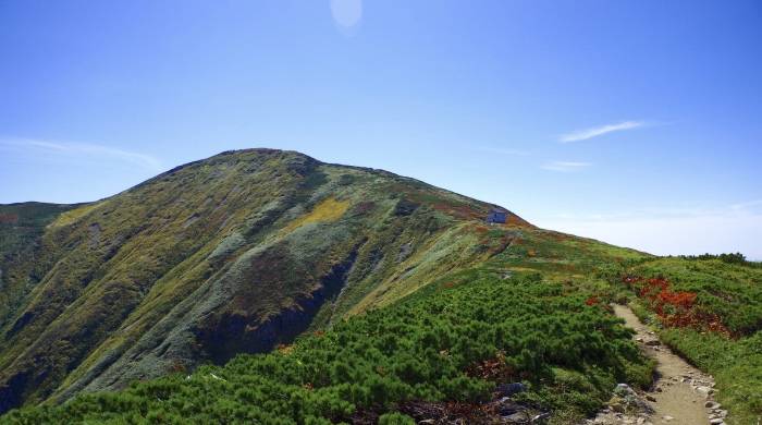 苏宁向左收缩国美向右扩张？在家电零售市场都是殊途同归-家电圈官网
