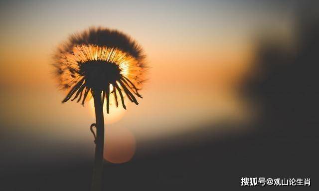 12c5b6cb0bd3465b81b2ee7270c249b5.jpeg