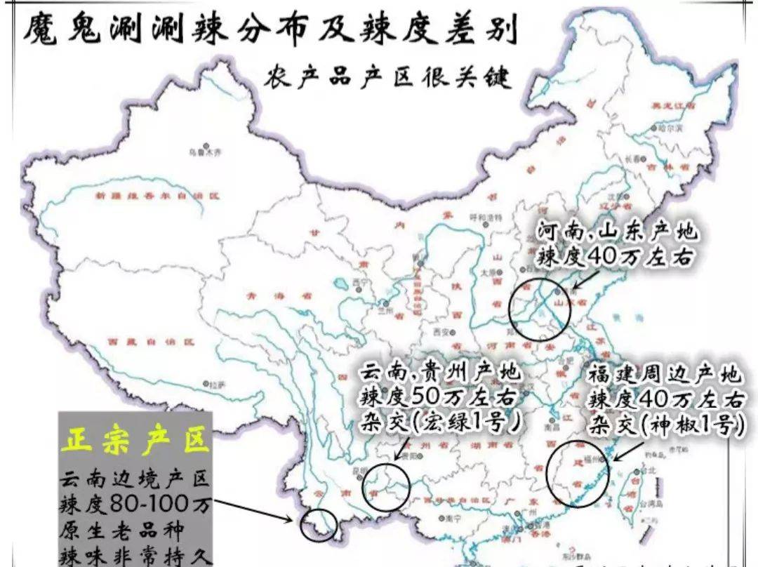 全球吃辣人口_全球饥饿人口图片(2)