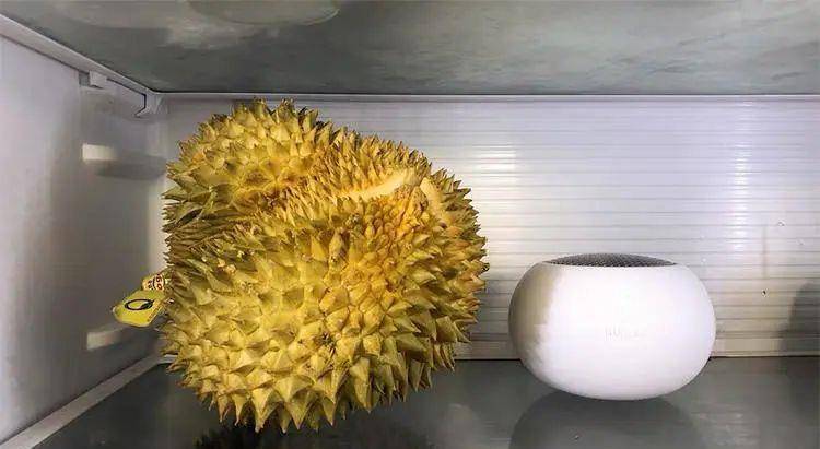 新鲜桂花可以放冰箱吗 2838885bc1e94c239310c879ef7b36d2.jpeg