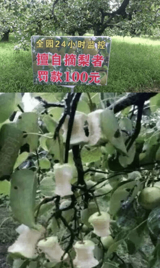 原创
撸串是从小培养的!哈哈哈哈!