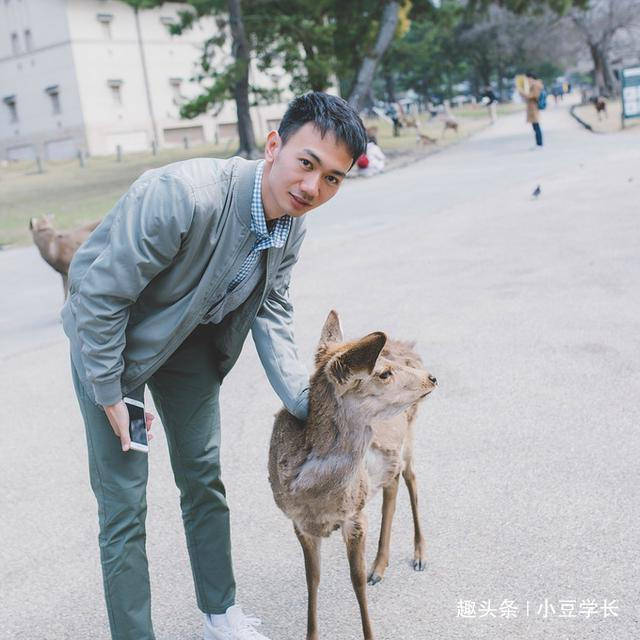 150日元收买小鹿，最繁华的奈良公园，遇见鞠躬的奈良小鹿