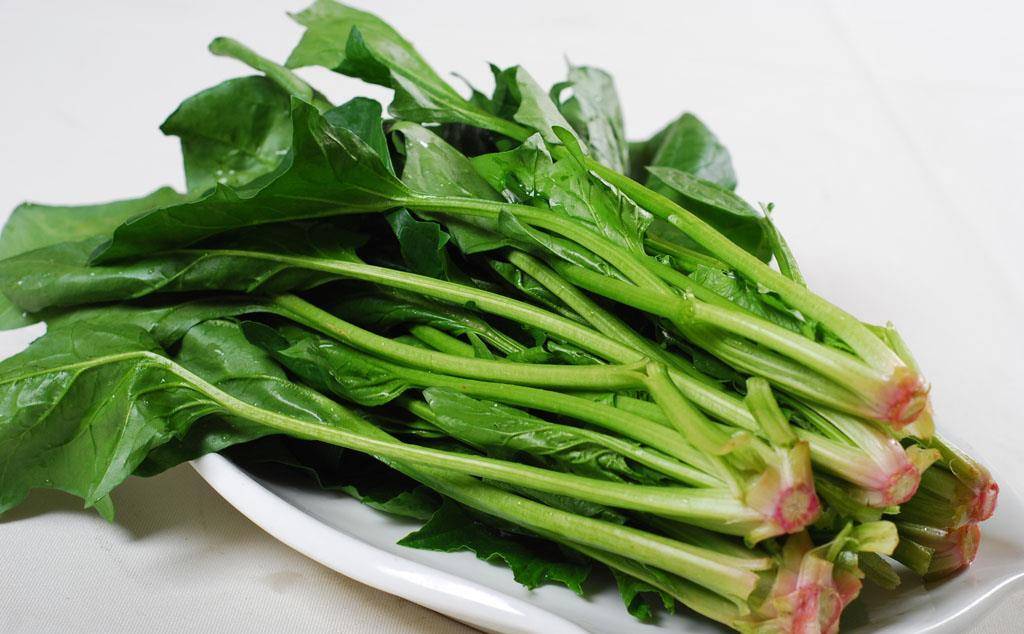 软糯的菜有哪些 8eb12356d5ef40cda05fba634021b0af.jpeg