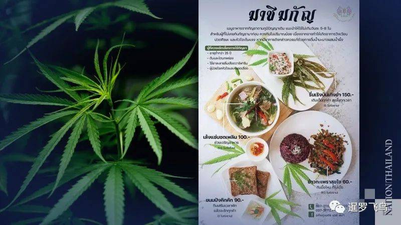 专家:到2025年,大麻可为泰国制药业创造80亿泰铢的收入