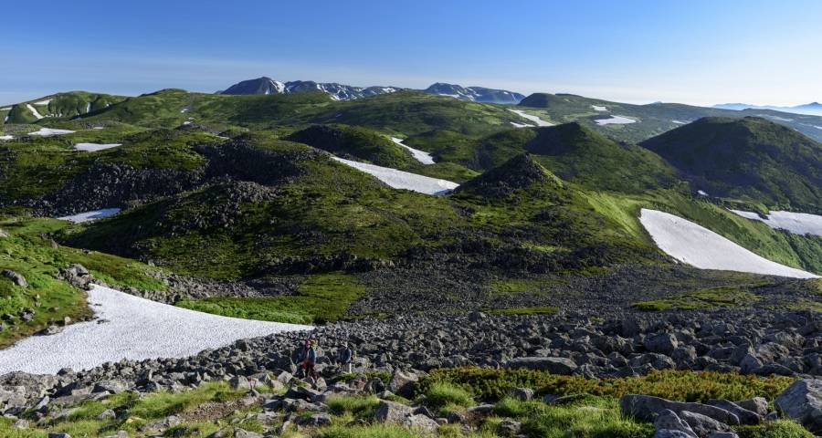 家电旺季市场第一枪提前打响，价格服务资本新品标准齐上阵-家电圈官网