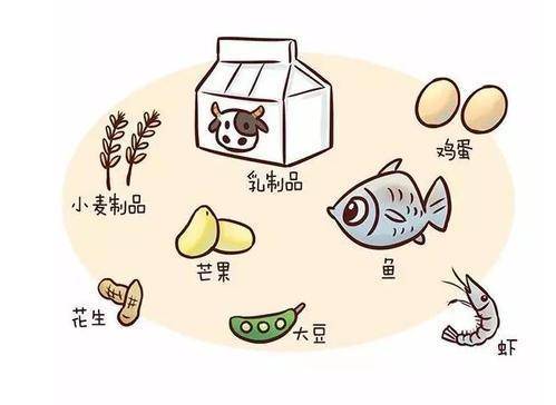 婴儿吃桂鱼吐怎么回事