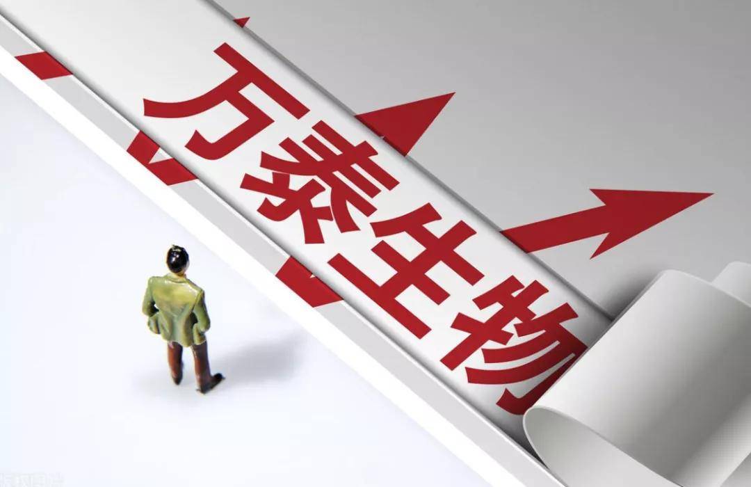 鲁证万泰爆雷牵出配资+坐庄内幕：机构联手操纵