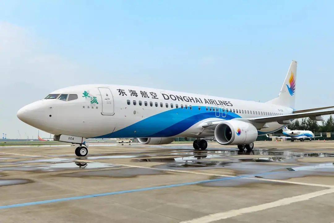 机长与乘务空中互殴,东海航空公开道歉,涉事人员已停止工作