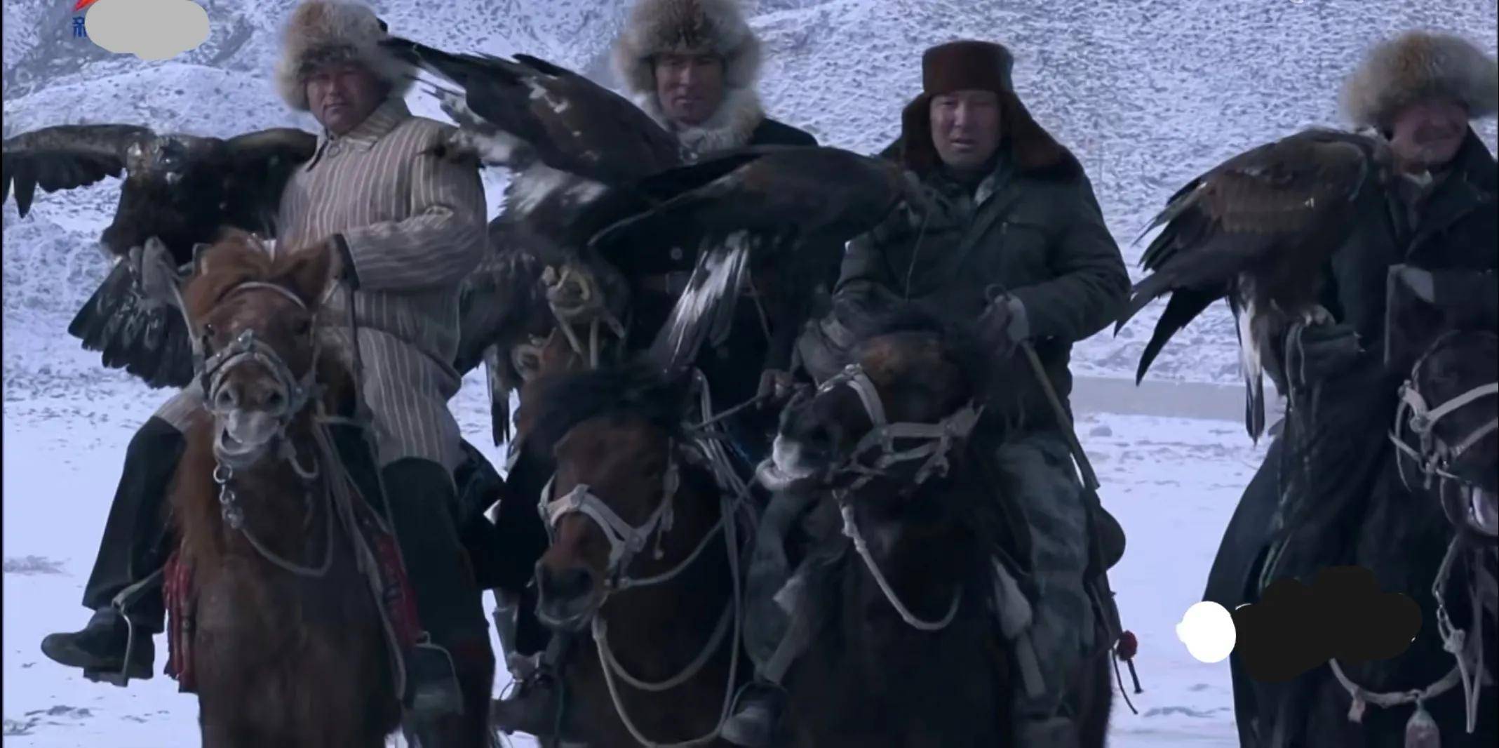 新疆的猎鹰从哈萨克到柯尔克孜猎鹰是他们一生的朋友