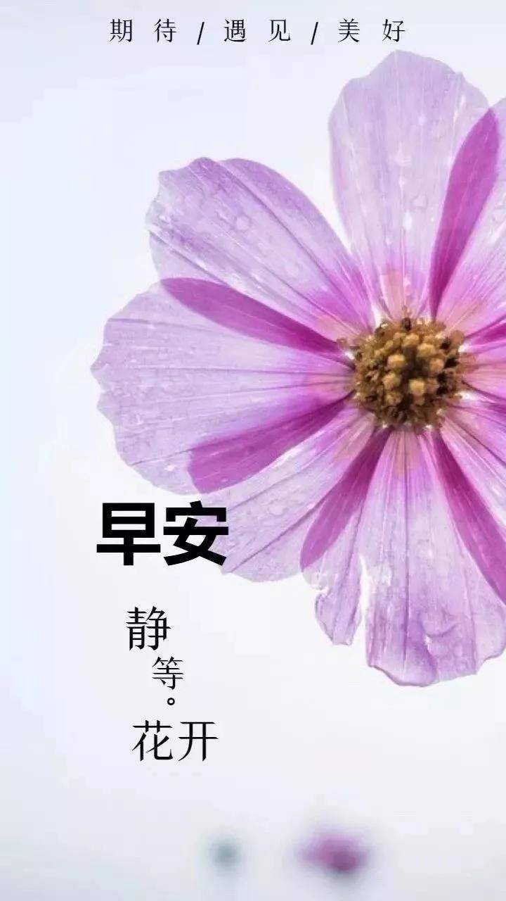 原创唯美早安语录激励人心的好句子祝福图片