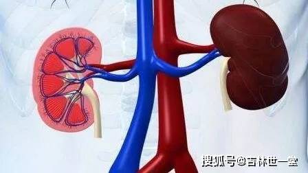 吃什么东西容易得尿毒症呢 cf0505b6d94f4d30952746e8cafd871b.jpeg