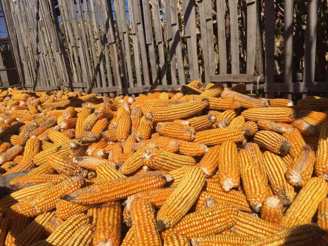 2021年农业天气气候预测！