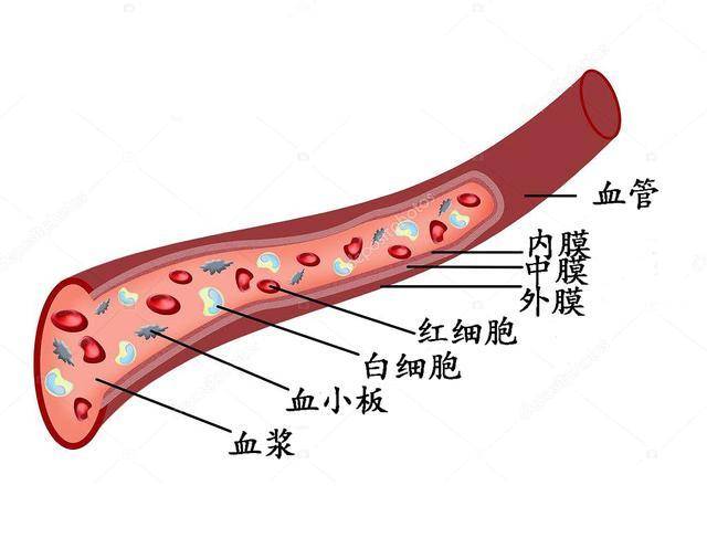 为什么脑梗容易二次发作什么方法可以有效预防