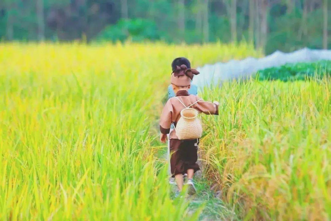 武汉周末遛娃去哪里云稼慢乡种菜植树抓蝌蚪过野趣的周末