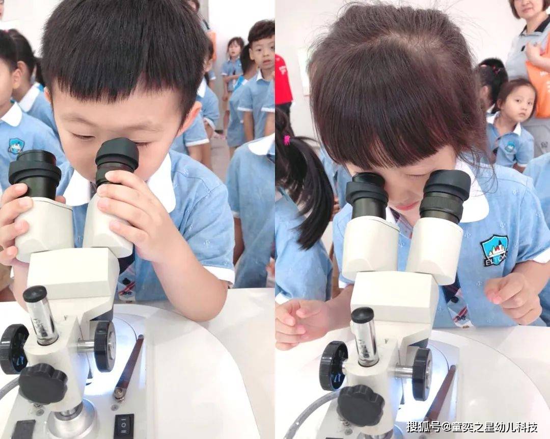 幼儿科学教育是启蒙的科学教育创新和实践是幼儿教育的根本