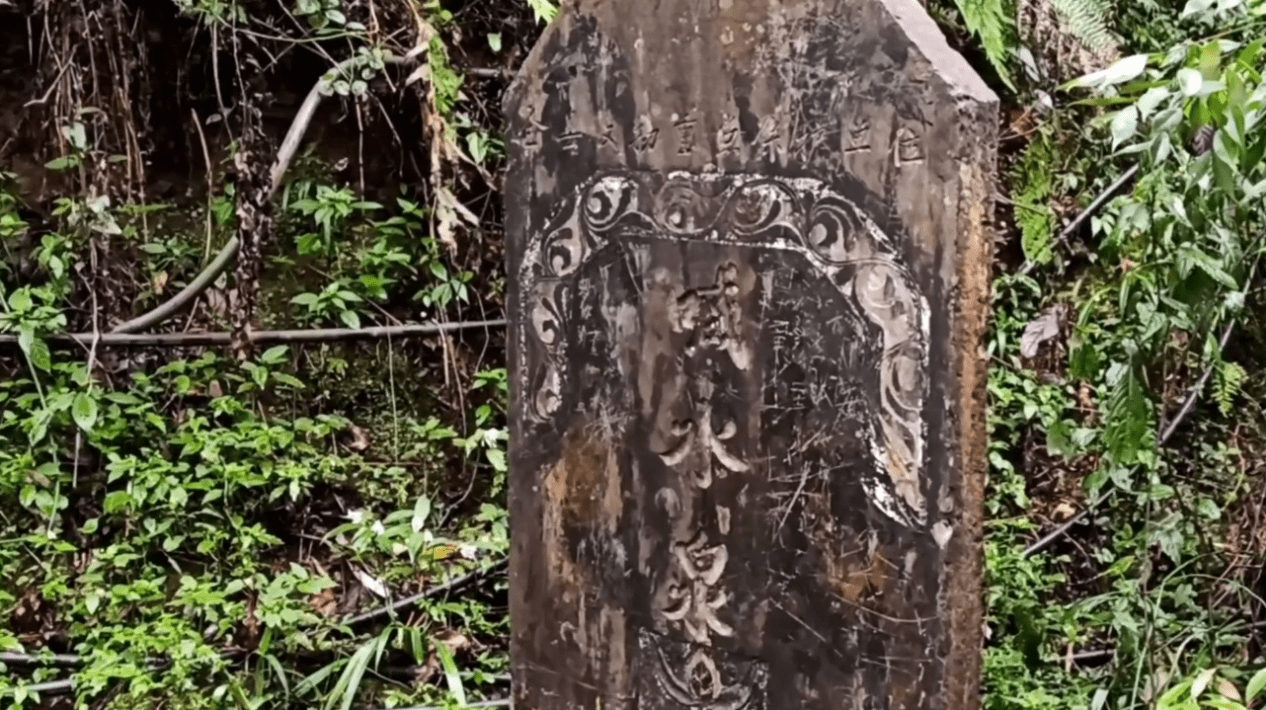 酉阳有多少人口_重庆酉阳有哪些街道(2)