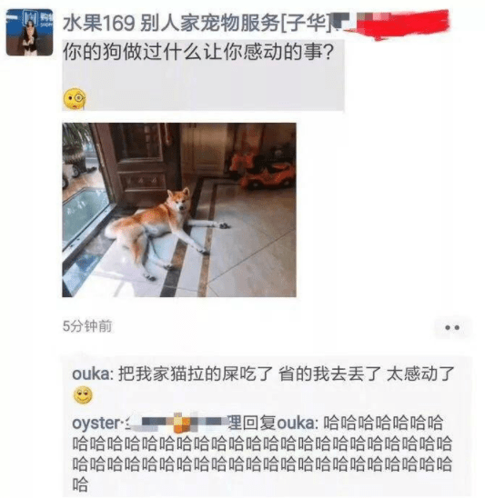 原创
这和我想的有点不太一样呀