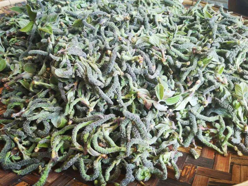 "构花早晨,午间,傍晚,拿一个黄花粑粑烤得金黄,一口下去,满口脆香