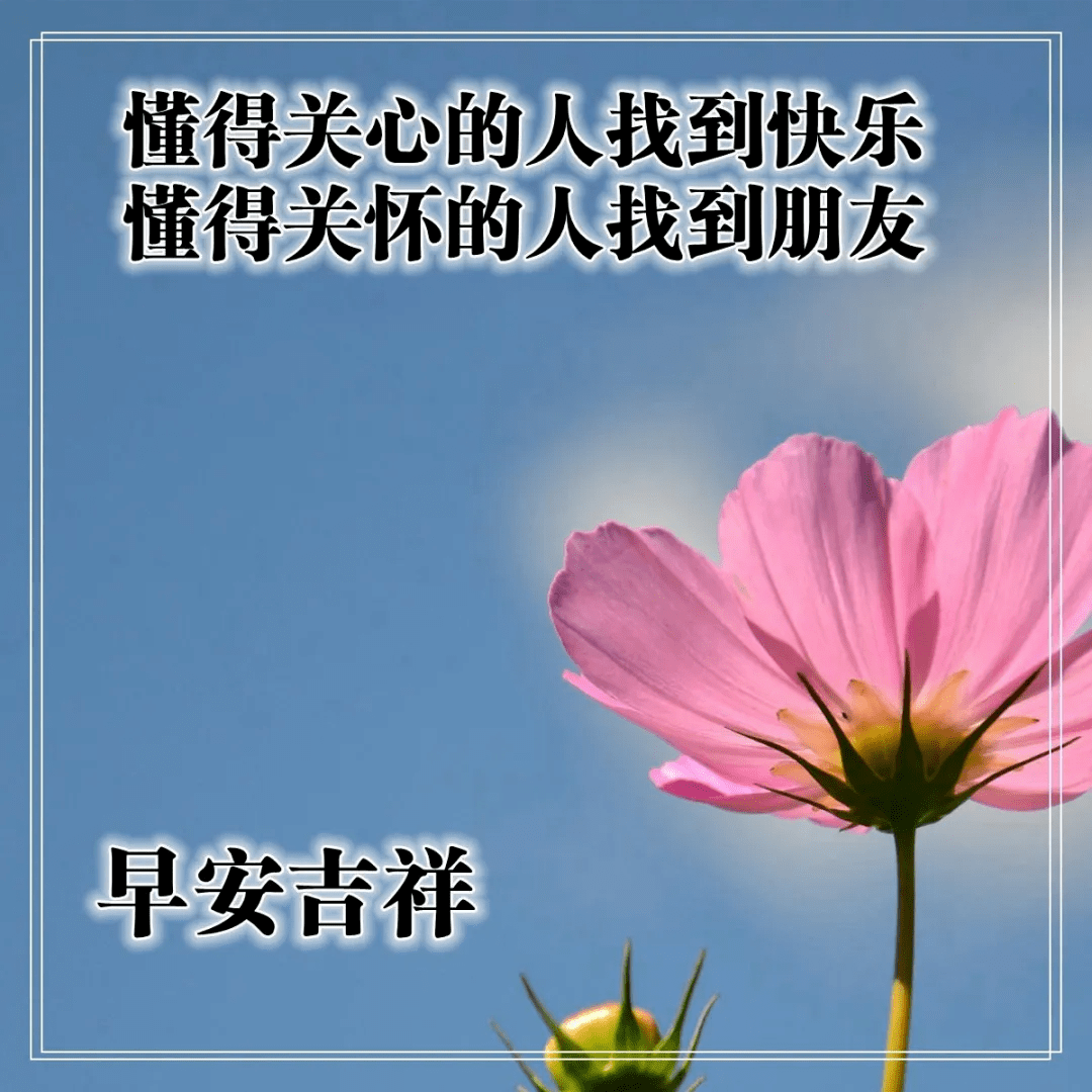 早上好问候语图片大全 最美早安祝福语唯美表情 人生