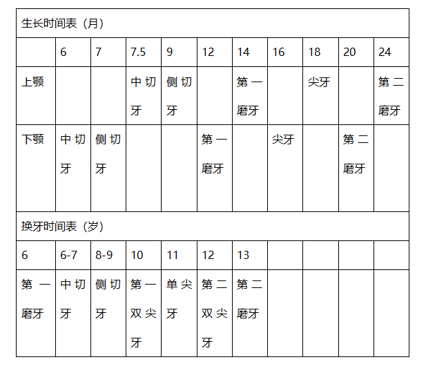 ▼生長時間參考表人的一生有兩副牙齒,而小孩牙齒生長發育是親身經歷