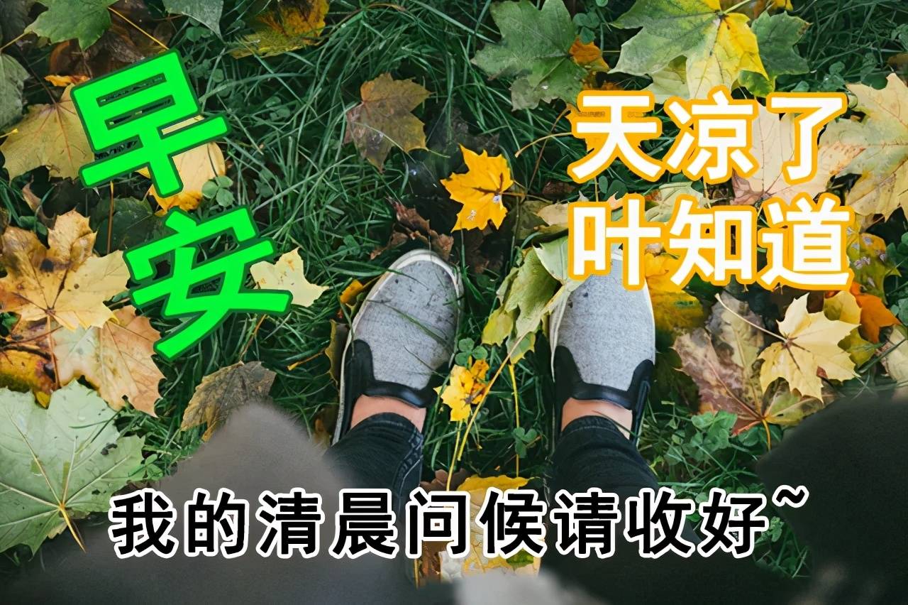 幽默搞笑早上好問候語群裡早上好圖片大全集