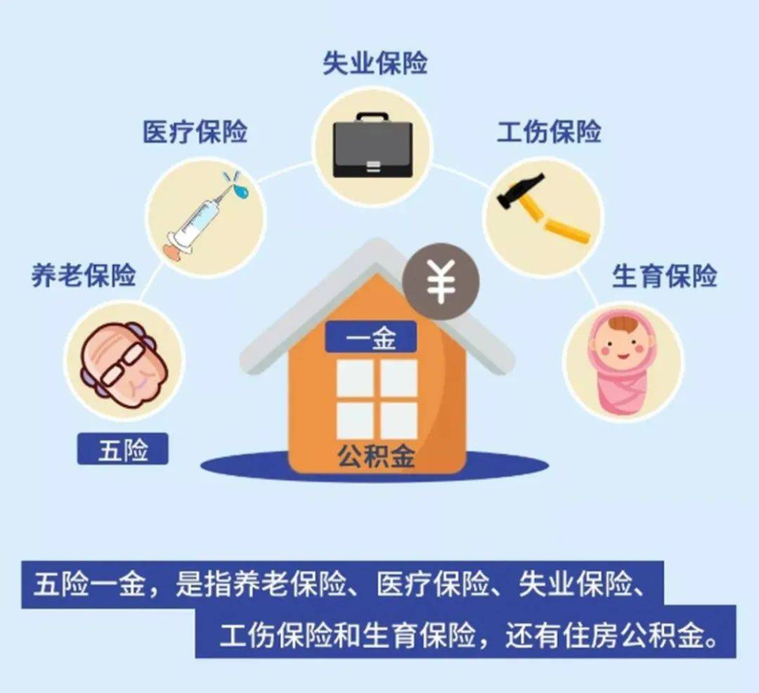 2021年全国城镇居民人均可支配收入(3)