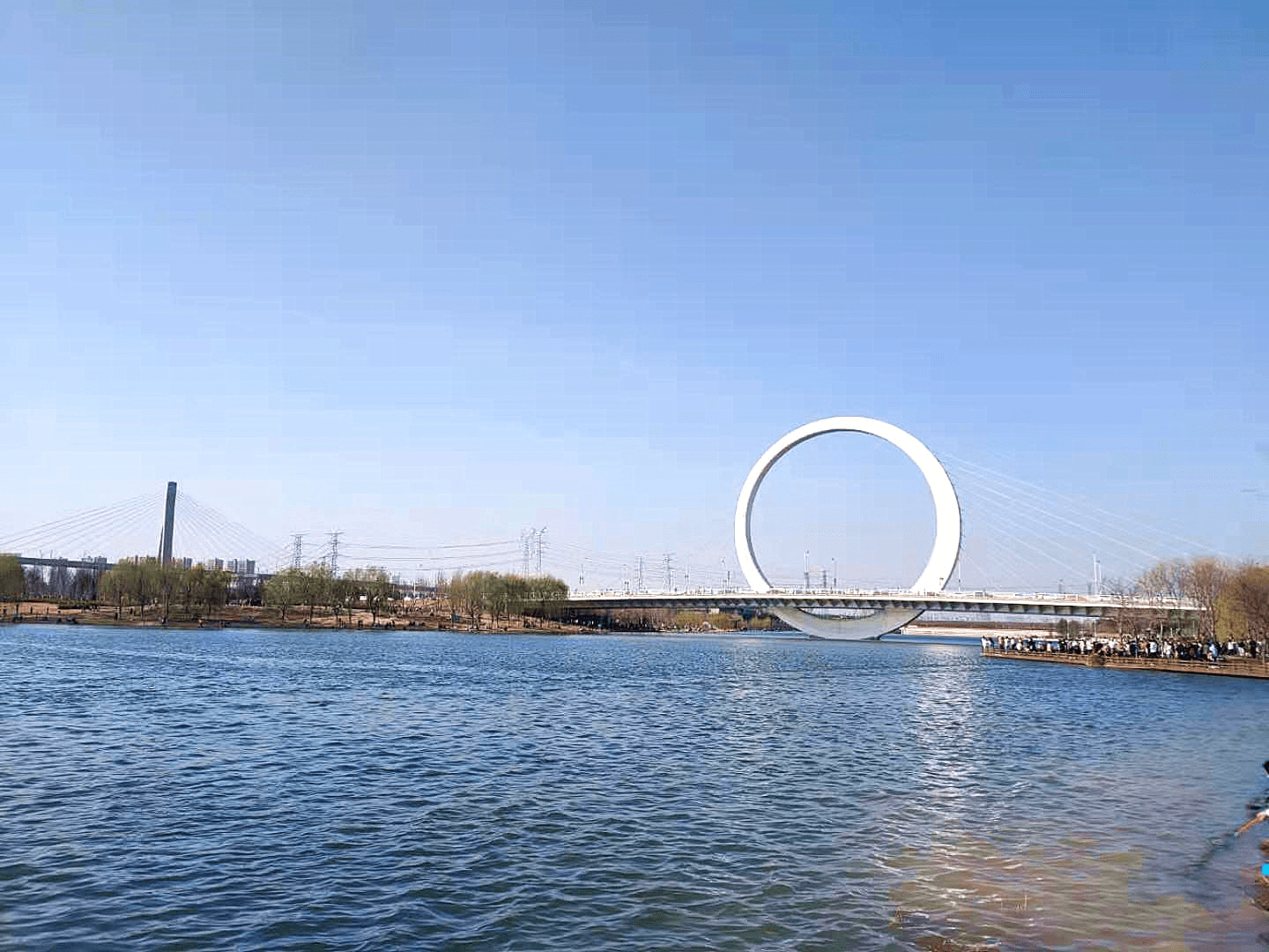 郑州蝶湖成新晋网红打卡地 背后的“大佬”滨河今年要“起飞”？