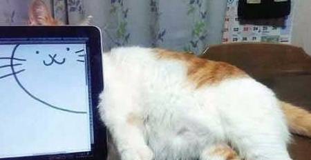 胡子长发猜成语_看图猜成语(2)