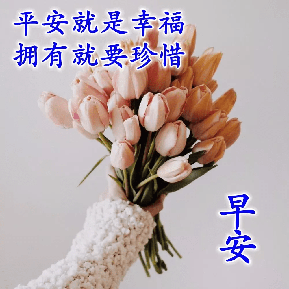 原創清晨暖心的早安祝福語朋友圈最喜歡的早安祝福圖片帶字