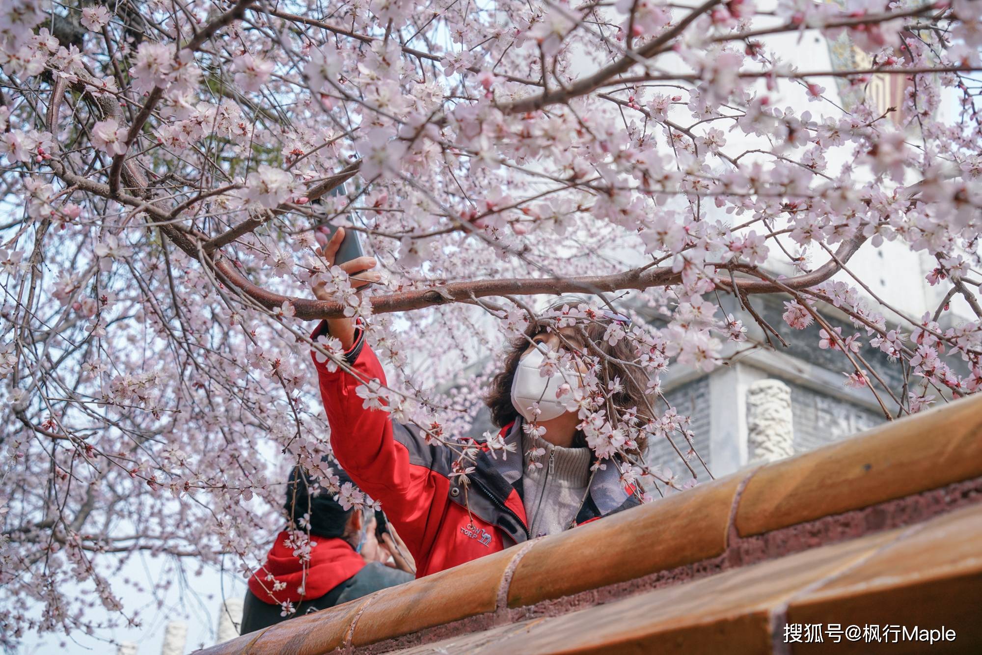 故宫旁最容易出大片的小众公园，北京的“地标”之一，桃花已盛开