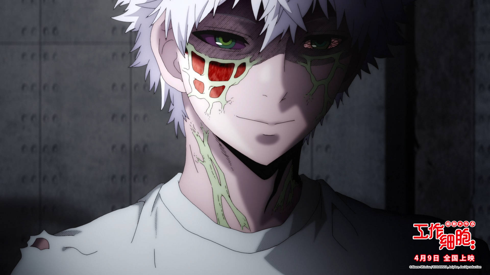 电影版 工作细胞 定档4月9日高萌上演身体保卫战 人气