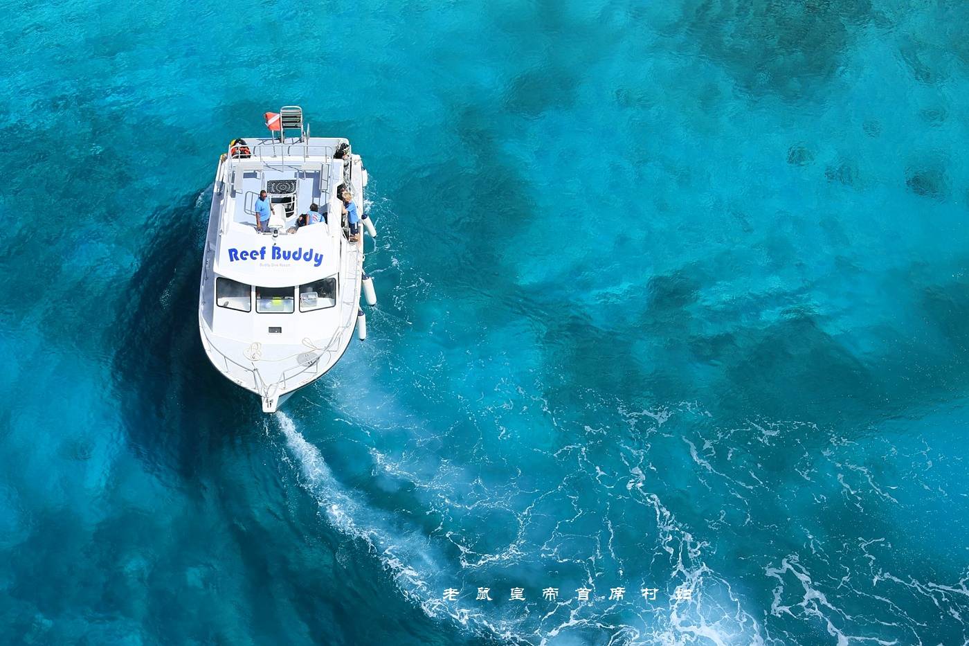珊瑚保护工作世界第一竟是这个加勒比小岛国：海蓝景美人幸福