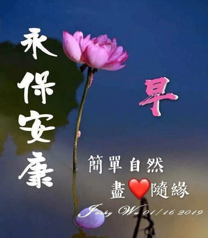 原創早上好各種圖片大全早上好有鮮花圖片問候語