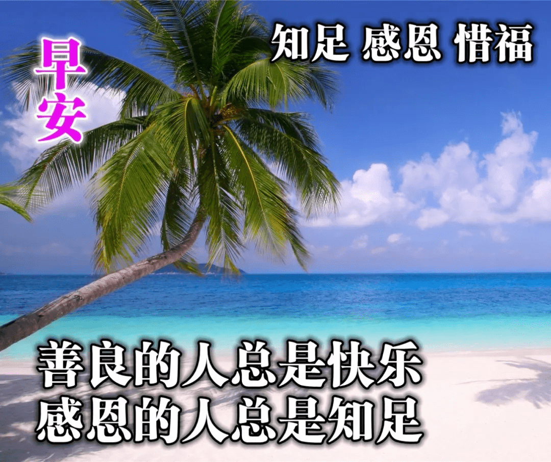 原創早上好清晨最美的祝福送給你願你一天好心情早安