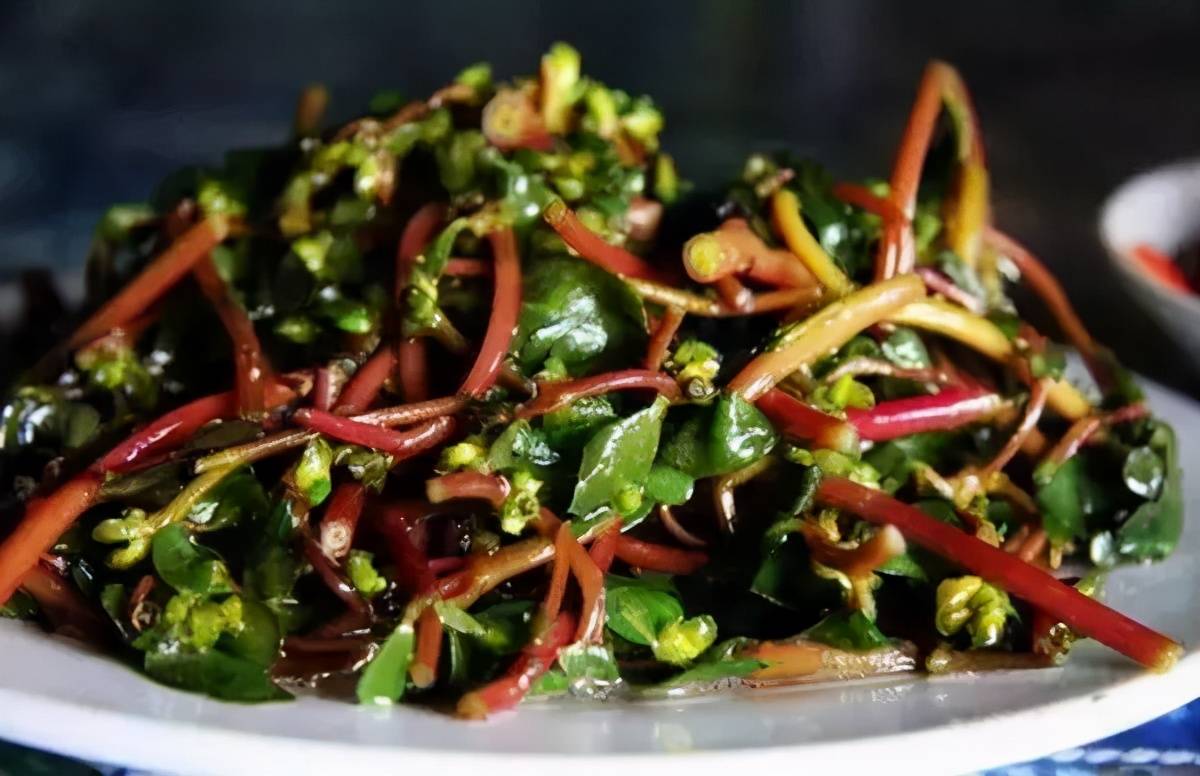 推荐菜—凉拌马齿苋