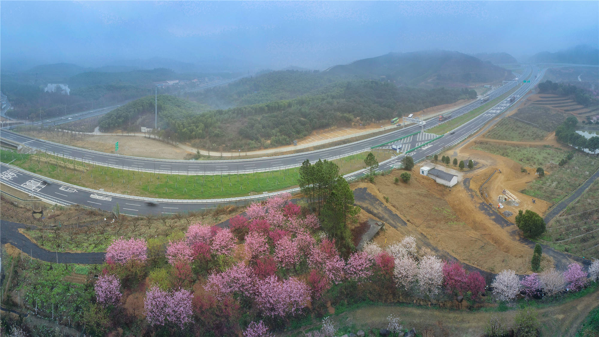 春天唯美的打开方式，杭州这处樱花园不可错过，浪漫旖旎醉游人