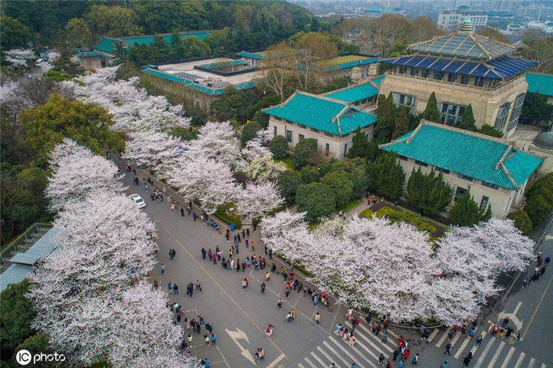 武汉大学东湖分校(武汉大学东湖分校是二本?)