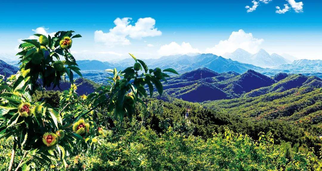 长城脚下的板栗之乡山清水秀风景绝美访古踏青首选